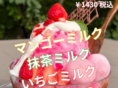 ふわふわ 雪氷 始まりました !!