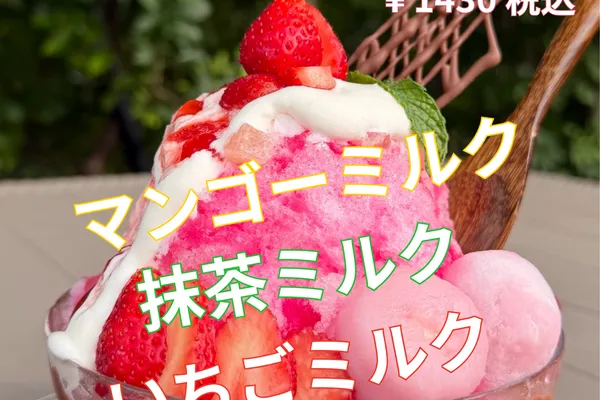ふわふわ 雪氷 始まりました !!
