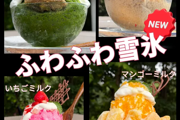 ふわふわ 雪氷 4種 登場 !!
