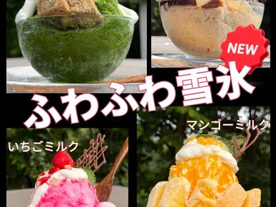 ふわふわ 雪氷 4種 登場 !!